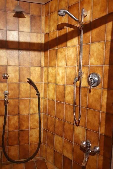 Apartment-Top Lage Koeln Hürth Eksteriør bilde